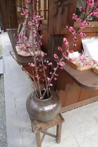 菅原院天満宮神社の自然