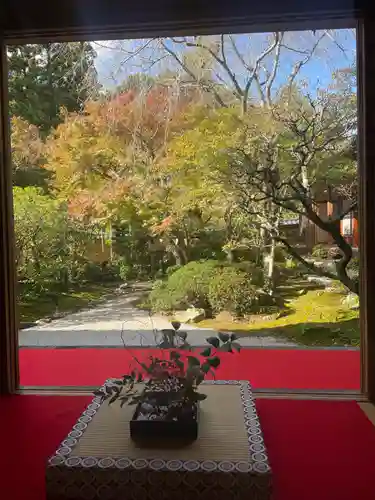 光明寺（粟生光明寺）(京都府)
