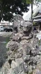 菊田神社の狛犬