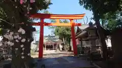 天沼八幡神社の鳥居