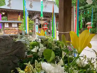 滑川神社 - 仕事と子どもの守り神の手水舎