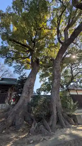 常磐神社(京都府)