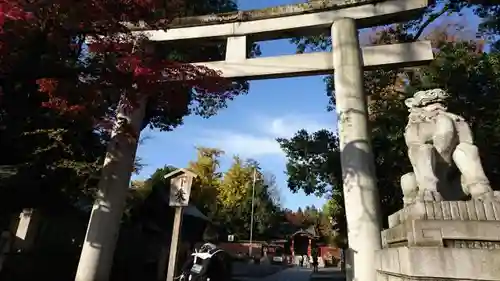 秩父神社の鳥居