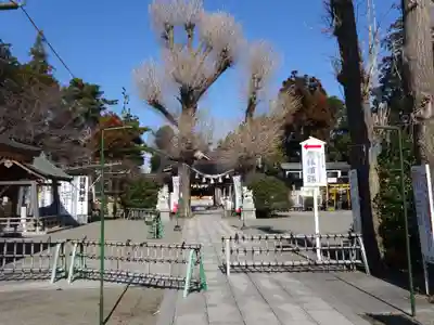 亀ケ池八幡宮のその他建物