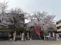 不動寺(大阪府)