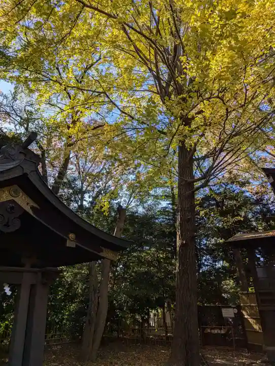 世田谷八幡宮(東京都)