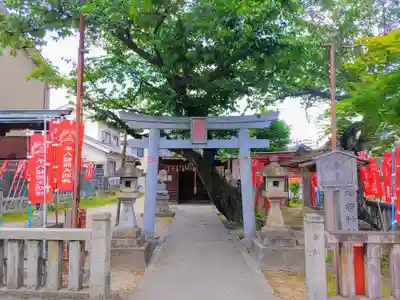 稲荷社(平八稲荷神社)の鳥居