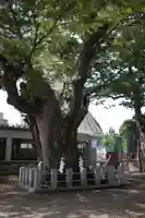 阿邪訶根神社の自然