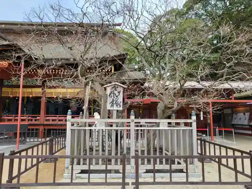 太宰府天満宮の自然