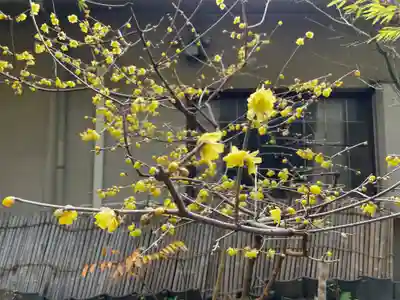 遠照山 光明寺（尼崎大仏）(兵庫県)