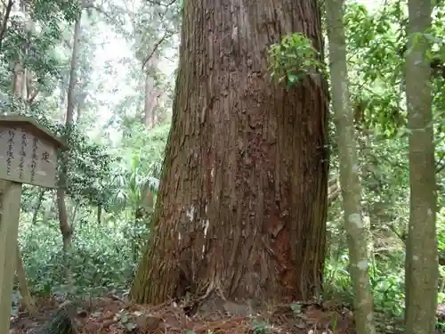 多岐原神社（皇大神宮摂社）の自然