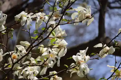 鏑箭神社の自然