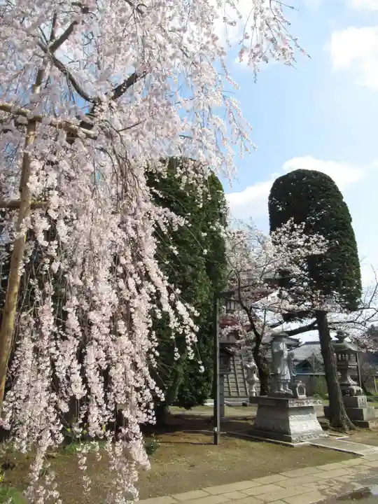 慶龍寺(茨城県)