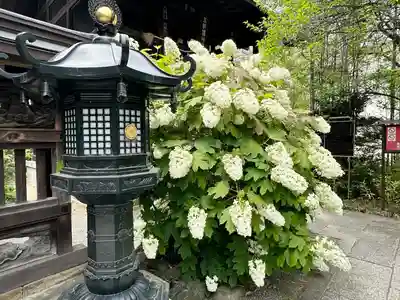 高幡不動尊　金剛寺(東京都)