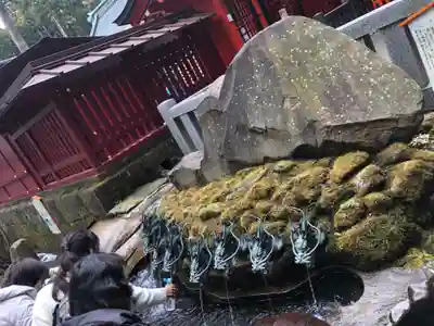 箱根神社の手水舎