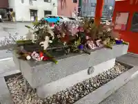 生田神社の{uncategorized: "未分類", other: "その他", undefined: "問題あり", building: "その他建物", grave: "お墓", sacred_gate: "鳥居", guardian: "狛犬", statue: "像", buddha: "仏像", history: "歴史", nature: "自然", garden: "庭園", animal: "動物", pagoda: "塔", temizu: "手水舎", mountain_gate: "山門・神門", sanctuary: "本殿・本堂", subordinate: "末社・摂社", art: "芸術", scenery: "景色", jizo: "地蔵", ema: "絵馬", goshuin: "御朱印", omikuji: "おみくじ", items: "授与品その他", amulet: "お守り", goshuincho: "御朱印帳", eats: "食事", festival: "お祭り", votive_dance: "神楽", shichigosan: "七五三参", wedding: "結婚式", experience: "体験その他", initially: "初詣", around: "周辺", anti_infection: "感染症対策"}