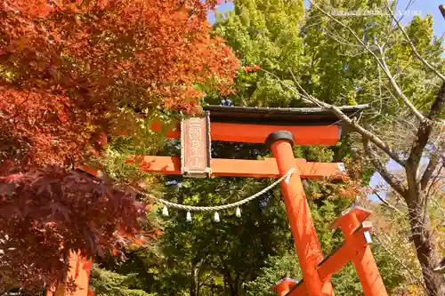 新倉富士浅間神社の鳥居