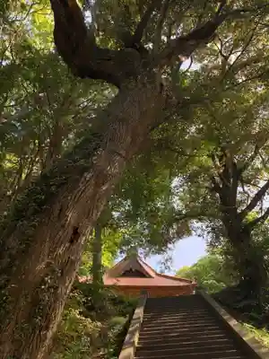 高谷神社の自然