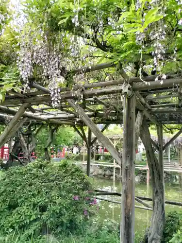 亀戸天神社の{uncategorized: "未分類", other: "その他", undefined: "問題あり", building: "その他建物", grave: "お墓", sacred_gate: "鳥居", guardian: "狛犬", statue: "像", buddha: "仏像", history: "歴史", nature: "自然", garden: "庭園", animal: "動物", pagoda: "塔", temizu: "手水舎", mountain_gate: "山門・神門", sanctuary: "本殿・本堂", subordinate: "末社・摂社", art: "芸術", scenery: "景色", jizo: "地蔵", ema: "絵馬", goshuin: "御朱印", omikuji: "おみくじ", items: "授与品その他", amulet: "お守り", goshuincho: "御朱印帳", eats: "食事", festival: "お祭り", votive_dance: "神楽", shichigosan: "七五三参", wedding: "結婚式", experience: "体験その他", initially: "初詣", around: "周辺", anti_infection: "感染症対策"}