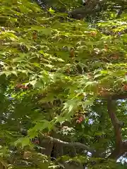 岡部春日神社～👹鬼門よけの🌺花咲く🌺やしろ～(福島県)