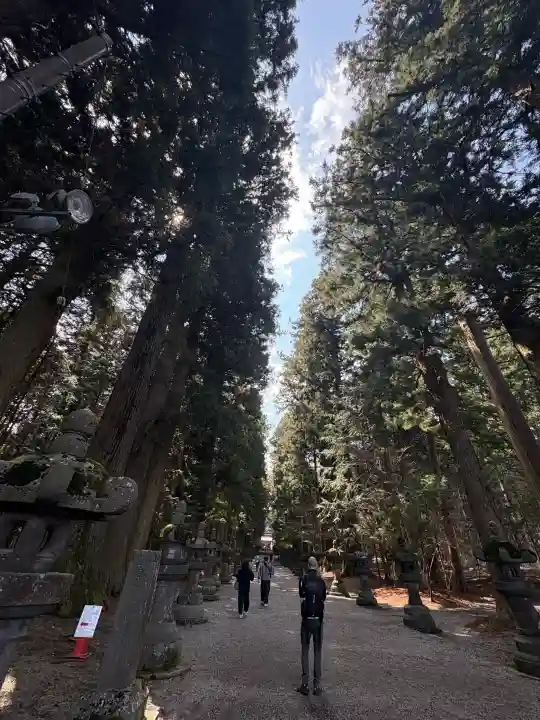 北口本宮冨士浅間神社の{uncategorized: "未分類", other: "その他", undefined: "問題あり", building: "その他建物", grave: "お墓", sacred_gate: "鳥居", guardian: "狛犬", statue: "像", buddha: "仏像", history: "歴史", nature: "自然", garden: "庭園", animal: "動物", pagoda: "塔", temizu: "手水舎", mountain_gate: "山門・神門", sanctuary: "本殿・本堂", subordinate: "末社・摂社", art: "芸術", scenery: "景色", jizo: "地蔵", ema: "絵馬", goshuin: "御朱印", omikuji: "おみくじ", items: "授与品その他", amulet: "お守り", goshuincho: "御朱印帳", eats: "食事", festival: "お祭り", votive_dance: "神楽", shichigosan: "七五三参", wedding: "結婚式", experience: "体験その他", initially: "初詣", around: "周辺", anti_infection: "感染症対策"}