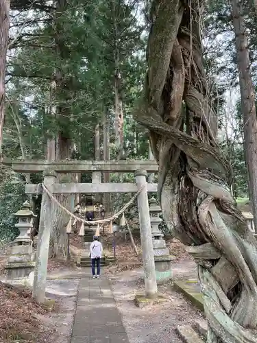 白河神社(福島県)