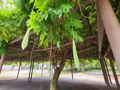 中山熊野神社(福岡県)