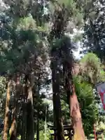 大宮温泉神社(栃木県)