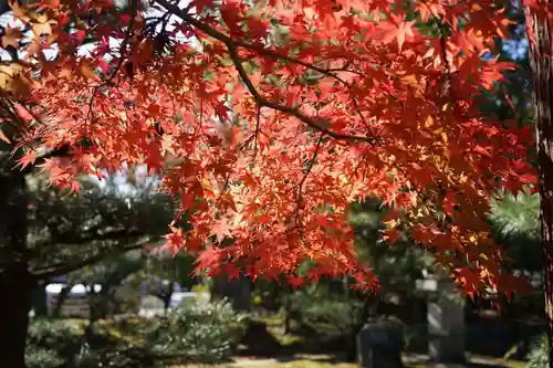 伊勢の国 四天王寺の自然