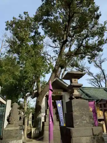 戸越八幡神社(東京都)