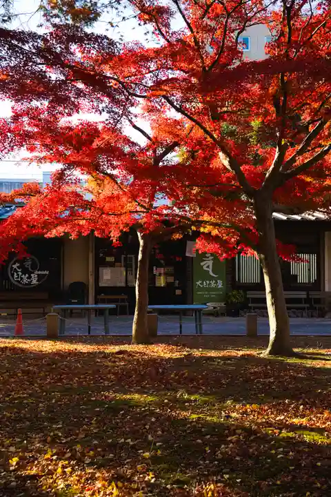 鑁阿寺(栃木県)
