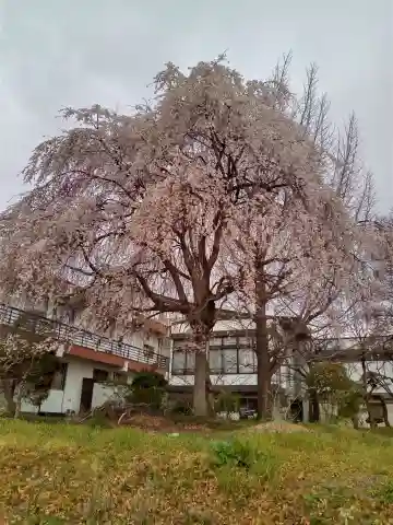 大安寺(宮城県)