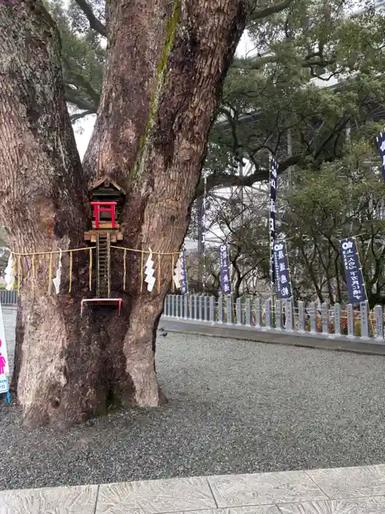 加藤神社(熊本県)