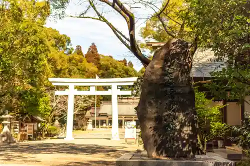 宮崎縣護國神社(宮崎県)
