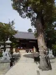 神館神社の本殿