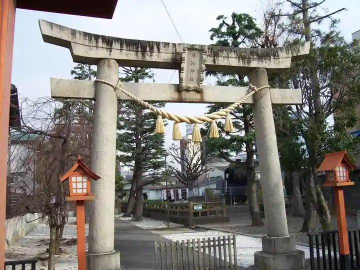 草加神社の鳥居