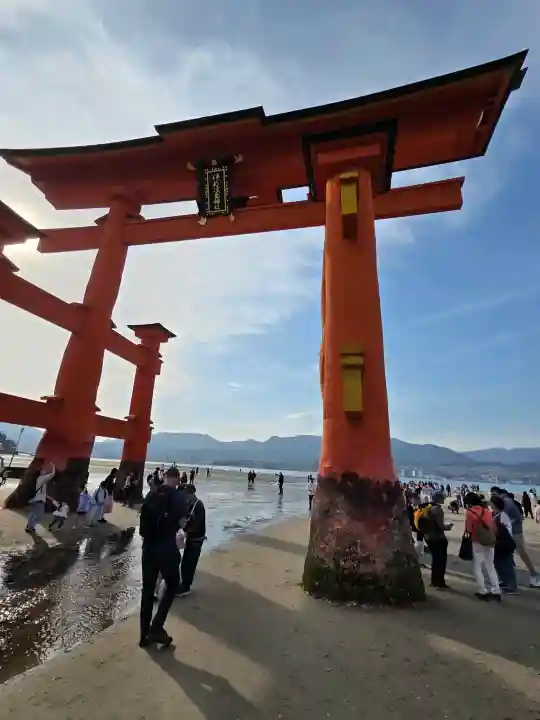 厳島神社の{uncategorized: "未分類", other: "その他", undefined: "問題あり", building: "その他建物", grave: "お墓", sacred_gate: "鳥居", guardian: "狛犬", statue: "像", buddha: "仏像", history: "歴史", nature: "自然", garden: "庭園", animal: "動物", pagoda: "塔", temizu: "手水舎", mountain_gate: "山門・神門", sanctuary: "本殿・本堂", subordinate: "末社・摂社", art: "芸術", scenery: "景色", jizo: "地蔵", ema: "絵馬", goshuin: "御朱印", omikuji: "おみくじ", items: "授与品その他", amulet: "お守り", goshuincho: "御朱印帳", eats: "食事", festival: "お祭り", votive_dance: "神楽", shichigosan: "七五三参", wedding: "結婚式", experience: "体験その他", initially: "初詣", around: "周辺", anti_infection: "感染症対策"}
