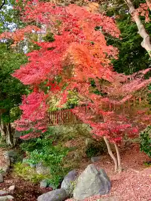 志波彦神社・鹽竈神社(宮城県)