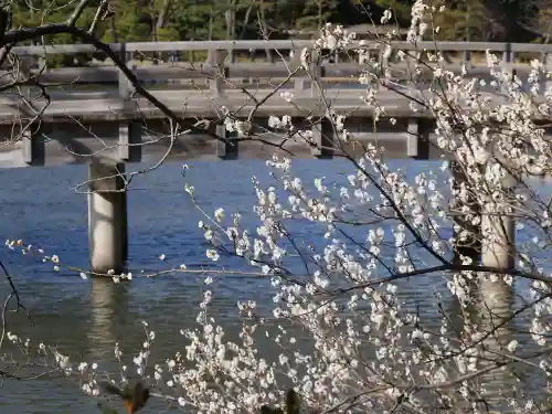 三渓園天満宮の自然