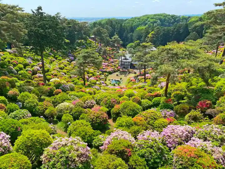塩船観音寺の自然