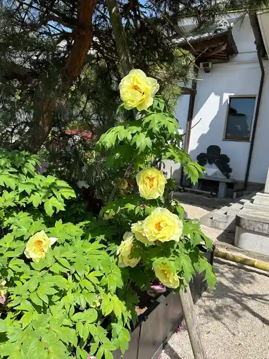 少林寺(埼玉県)