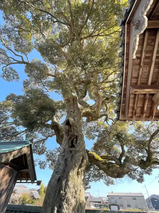 常明寺(滋賀県)