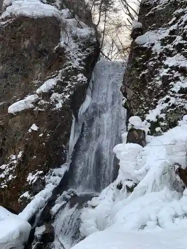 桜松神社の自然