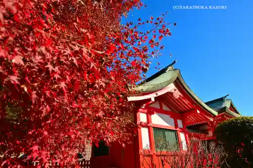 足利織姫神社(栃木県)