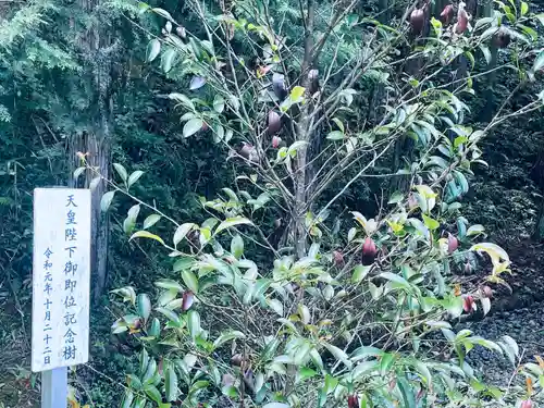 三之倉神社(岐阜県)