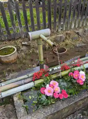 二尊院(京都府)