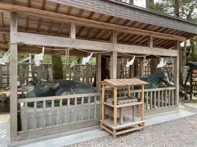 出雲大社(島根県)