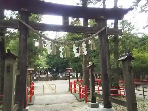 安房神社の鳥居