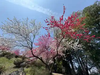 福田寺(福島県)