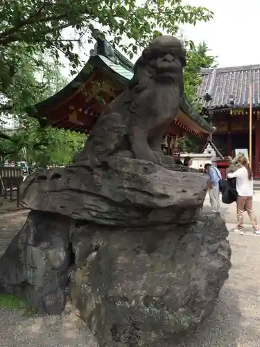 浅草神社の狛犬